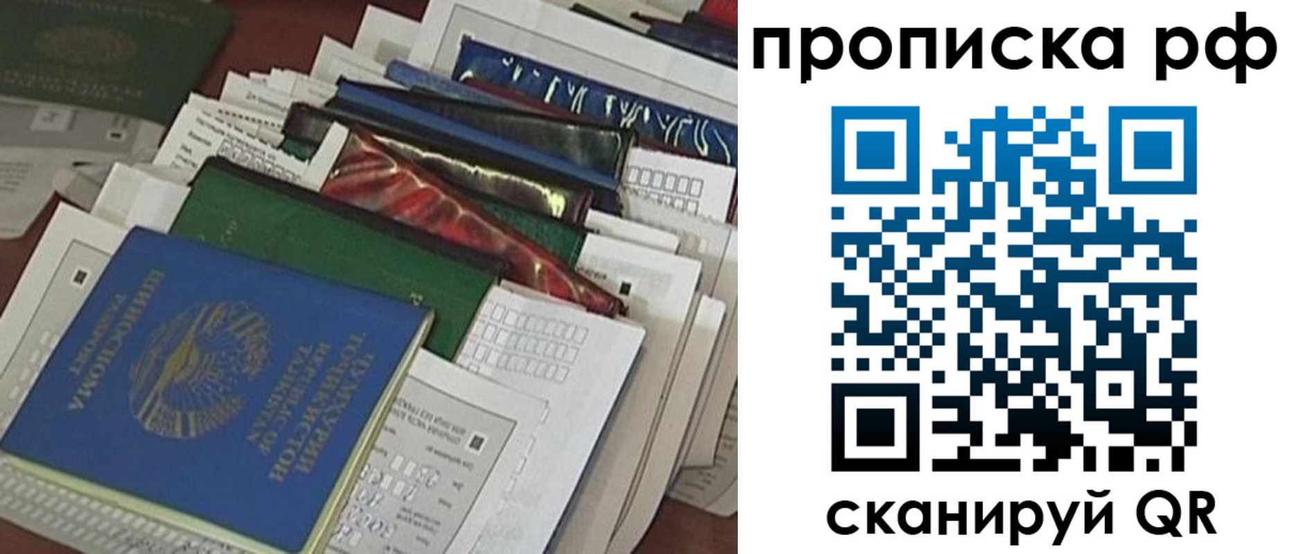 прописка в Сафоново